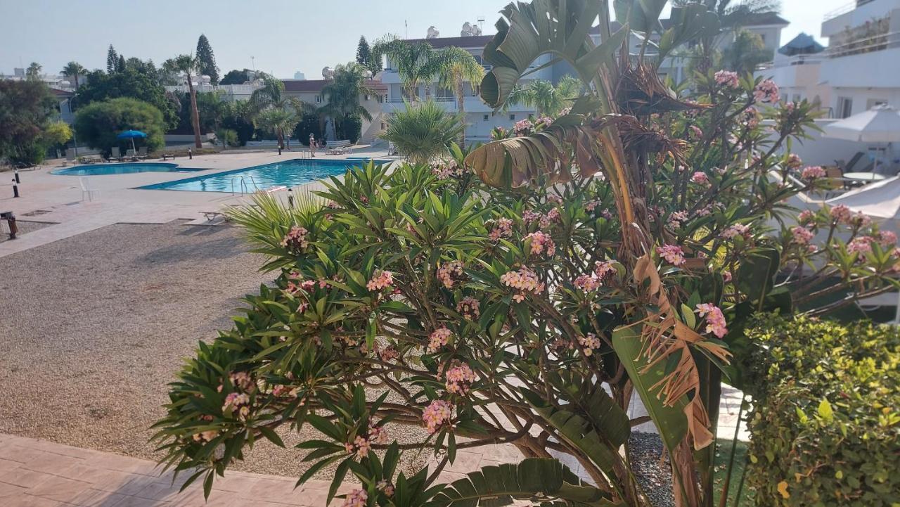 Nissi 3 Pool View Lägenhet Ayia Napa